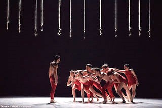 MM Contemporary Dance Company