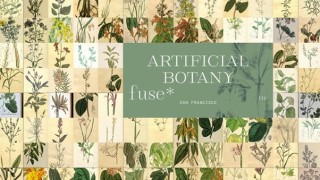 fuse*, Artificial Botany